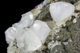 Calcite, Pyrite and Fluorite Association - Fluorescent #90232-3